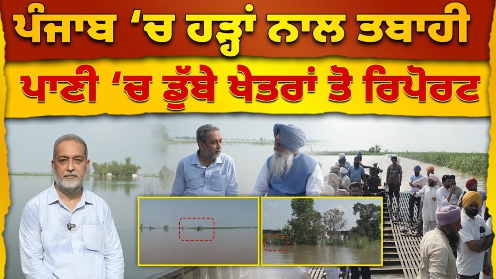 Punjab ‘ਚ ਹੜ੍ਹਾਂ ਨਾਲ ਤਬਾਹੀ, ਪਾਣੀ ‘ਚ ਡੁੱਬੇ ਖੇਤਰਾਂ ਤੋ Report | Devinder Pal | Arbide Punjab |