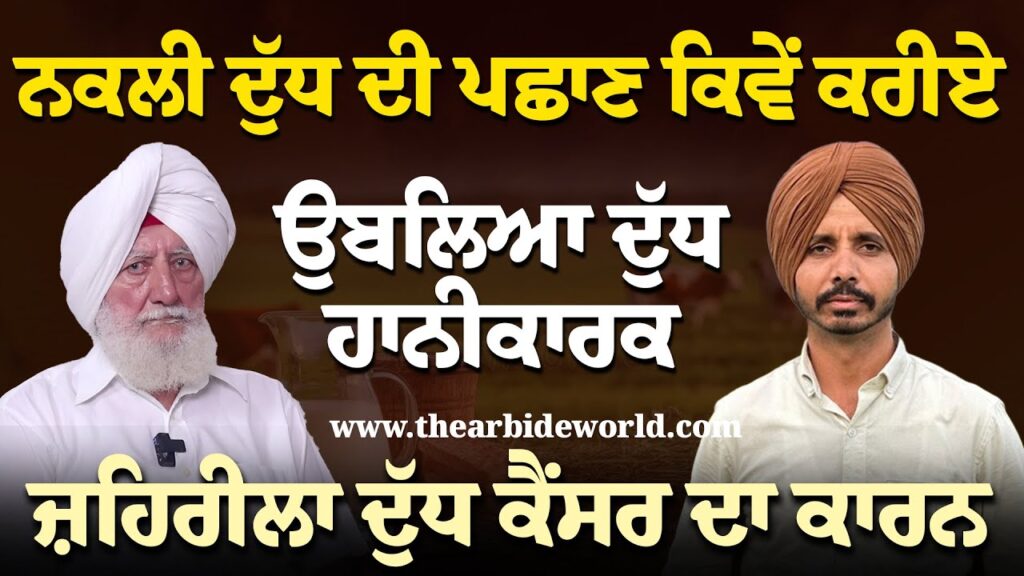 ਨਕਲੀ ਦੁੱਧ ਦੀ ਪਛਾਣ ਕਿਵੇਂ ਕਰੀਏ | ਜ਼ਹਿਰੀਲਾ ਦੁੱਧ ਕੈਂਸਰ ਦਾ ਕਾਰਨ | Milk in Tricity | Arbide Punjab |