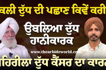ਨਕਲੀ ਦੁੱਧ ਦੀ ਪਛਾਣ ਕਿਵੇਂ ਕਰੀਏ | ਜ਼ਹਿਰੀਲਾ ਦੁੱਧ ਕੈਂਸਰ ਦਾ ਕਾਰਨ | Milk in Tricity | Arbide Punjab |