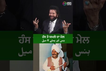 ਹੰਸ ਤੇ ਯਮਲੇ ਦਾ ਮੇਲ