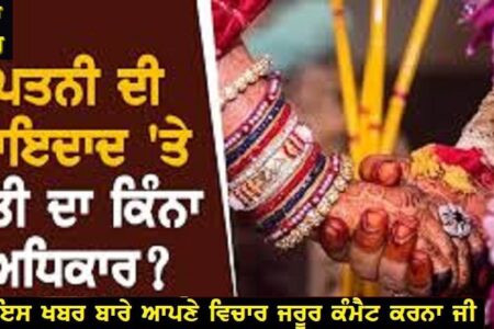 ਪੇਕਿਆਂ ਵੱਲੋਂ ਧੀ ਨੂੰ ਮਿਲੀ ਜਾਇਦਾਦ ‘ਤੇ ਜਵਾਈ ਦਾ ਕਿੰਨਾ ਹੱਕ? ਹਾਈਕੋਰਟ ਨੇ ਸੁਣਾਇਆ ਵੱਡਾ ਫ਼ੈਸਲਾ