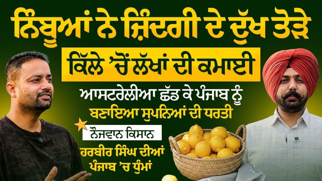 Austrila ਛੱਡ ਕੇ Punjab ‘ਚ ਕੀਤੀ ਨਿੰਬੂਆਂ ਦੀ ਖੇਤੀ, ਕਿੱਲੇ ‘ਚੋਂ ਲੱਖਾਂ ਦੀ ਕਮਾਈ!Lemon Farming Arbide Punjab