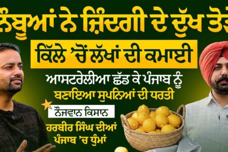 Austrila ਛੱਡ ਕੇ Punjab ‘ਚ ਕੀਤੀ ਨਿੰਬੂਆਂ ਦੀ ਖੇਤੀ, ਕਿੱਲੇ ‘ਚੋਂ ਲੱਖਾਂ ਦੀ ਕਮਾਈ!Lemon Farming Arbide Punjab