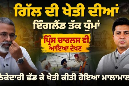 ਗਿੱਲ ਦੀ ਖੇਤੀ ਦੀਆਂ ਇੰਗਲੈਂਡ ਤੱਕ ਧੁੰਮਾਂ, ਹੋਇਆ ਮਾਲਾਮਾਲ ਠੇਕੇਦਾਰੀ ਛੱਡ ਕੇ ਖੇਤੀ ਕੀਤੀ | Arbide Punjab