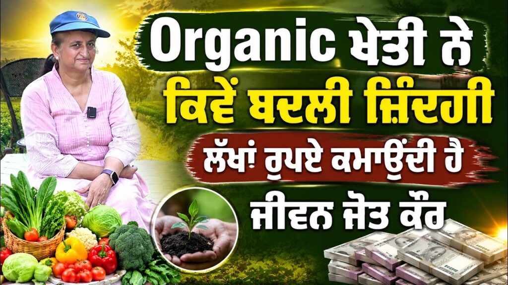Organic ਖੇਤੀ ਨੇ ਕਿਵੇਂ ਬਦਲੀ ਜ਼ਿੰਦਗੀ ਲੱਖਾਂ ਰੁਪਏ ਕਮਾਉਂਦੀ ਹੈ ਜੀਵਨ ਜੋਤ ਕੌਰ | Arbide Punjab