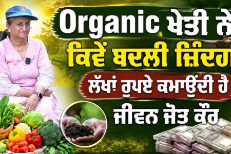 Organic ਖੇਤੀ ਨੇ ਕਿਵੇਂ ਬਦਲੀ ਜ਼ਿੰਦਗੀ ਲੱਖਾਂ ਰੁਪਏ ਕਮਾਉਂਦੀ ਹੈ ਜੀਵਨ ਜੋਤ ਕੌਰ | Arbide Punjab
