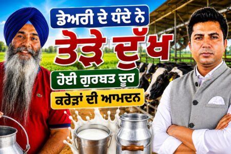 Dairy ਦੇ ਧੰਦੇ ਨੇ ਤੋੜੇ ਦੁੱਖ, ਹੋਈ ਗੁਰਬਤ ਦੂਰ, ਕਰੋੜਾਂ ਦੀ ਆਮਦਨ ! Arbide Punjab