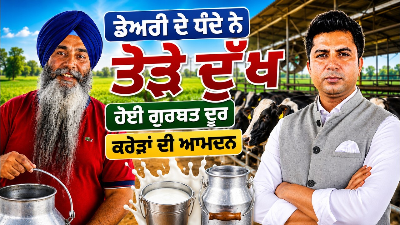Dairy ਦੇ ਧੰਦੇ ਨੇ ਤੋੜੇ ਦੁੱਖ, ਹੋਈ ਗੁਰਬਤ ਦੂਰ, ਕਰੋੜਾਂ ਦੀ ਆਮਦਨ ! Arbide Punjab